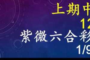 紫微六合彩 1月11日 上期中12 單號定位,雙號拖牌版路獨家大公開