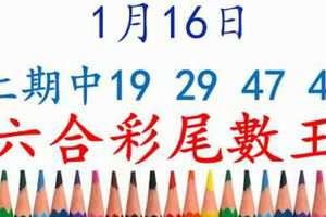 六合彩尾數王 1月16日 上期中12 23 36 49 版路預測版本3 準10進11 不斷版