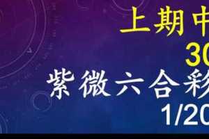 紫微六合彩 1月20日 上期中30 單號定位,雙號拖牌版路獨家大公開