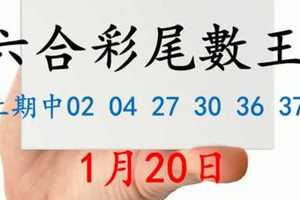 六合彩尾數王 1月20日 上期中02 04 27 30 36 37 版路預測版本1 準11進12 不斷版