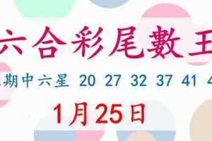 六合彩尾數王 1月25日 上期中六星 20 27 32 37 41 44 版路預測版本2 準9進10 不斷版