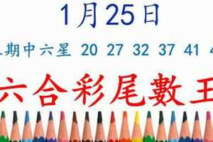 六合彩尾數王 1月25日 上期中六星 20 27 32 37 41 44 版路預測版本3 準10進11 不斷版