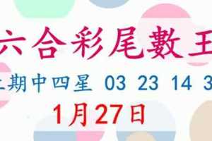 六合彩尾數王 1月27日 上期中四星 03 23 14 36 版路預測版本2 準11進12 不斷版