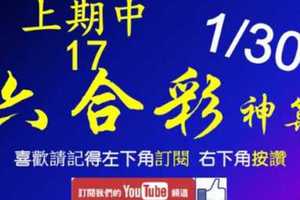 [六合彩神算] 1月30日 上期中17 4支 單號定位 雙號 拖牌