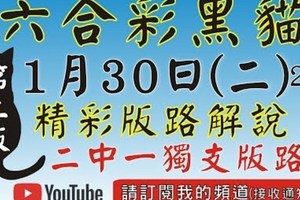 (2中1+獨碰+獨支)(第2版)[六合黑貓1月30號]六合彩精彩版路解說#號碼預測#香港六合彩版路