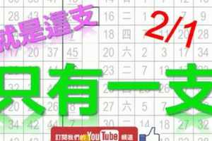 2月1日 六合彩爆報 只有一支 就是這支 不斷版路