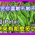 原來臭豆(Petai) 有那麼多功效！