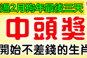 熬過2月最後三天，開始不差錢的生肖，第一次中獎就是頭獎！