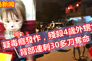 毒蟲殘殺4歲外甥女 天啊，連刺30多刀！