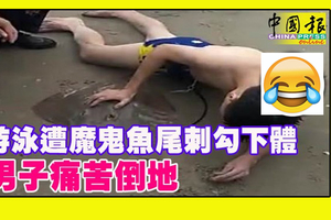 游泳遭魔鬼魚尾刺勾下體 網友看到畫面後忍不住為男子喊疼