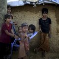緬甸軍暴力清剿 無國界醫生預估：一個月內至少6700名羅興亞人慘遭殺害