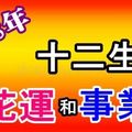 2018年，十二生肖的【桃花運】和【事業運】！