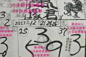 2017/12/26香港六合彩參考用全分享3(李府大元帥,天龍山,天濟寺,茅山道人,草山,溪底,萬塚君,洪老師,白小姐,...