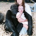 兩隻獨特的猩猩與她一同相伴長大，20多年後她回叢林找尋牠們時卻發生了奇蹟！