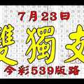 【神算539】 7月23日 今彩539 雙獨支