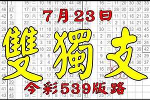 【神算539】 7月23日 今彩539 雙獨支