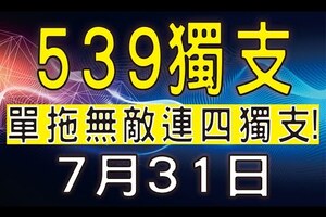 【今彩539】7月31日(五) 單拖無敵連四獨支！上期中16｜★ 真人解說★ [ 539至尊 ]