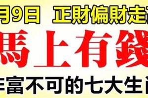 1月9日開始，正財偏財走高，馬上有錢的7大生肖