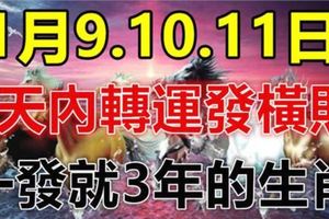 這六大生肖，1月9.10.11日 3天內轉運發橫財，一發就3年！