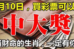 1月10日，這些生肖橫財入命，買彩票可以中大獎！一定有你！