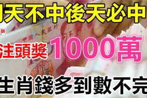 明天不中後天必中！一注頭獎1000萬 6生肖錢多到數不完！