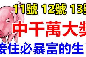 11號12號13號 3天內，這些生肖有望中一次千萬大獎，接住必一夜暴富