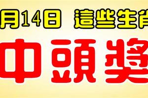 1月14日，最容易中頭獎的生肖！鈔票多多，有你嗎？