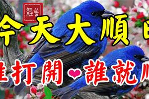 今天是1月16日，我要大順順順日！