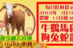 今天1月16日,每日旺財提示：牛雞馬鼠，狗兔蛇龍。財運亨通吉祥運！留言16888必轉！