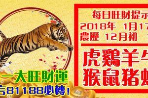 今天1月17日,每日旺財提示：虎雞羊牛，猴鼠豬蛇。初一大旺財運！留言81188必轉！