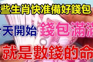 錢包準備好了嗎？今天開始，這些生肖財氣高漲，賺得錢包滿滿，就是數錢的命！