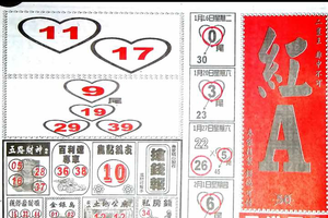 2/8，紅A...圓報，香港港號參考。