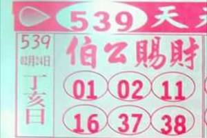 2/24伯公賜財，神算子，送妳瓜，三中1,專車，539參考