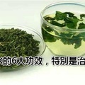 桑葉泡水的6大功效，特別是治療糖尿病！