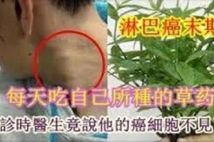 他被5名專家診斷為淋巴癌末期，每天吃自己所種的這一物，複診時醫生竟說他的癌細胞不見了！！