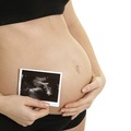 孕婦須知：了解懷孕初期子宮內胎兒發展