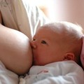 哺育母乳 如何知道新生兒吃飽？