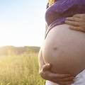 改善妊娠紋 把握產後消除時機