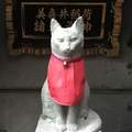 貓的神社《美喜井稲荷神社》供奉的稻荷神竟然不是狐狸而是貓咪！？