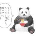 《熊貓的消夜歪理論》拉麵很健康所以怎麼吃也不會胖喔（噓）