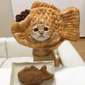 《貓奴是貓咪頭套狂熱者》看看這可愛的鯛魚燒、麵包喵星人～太犯規了