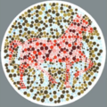 【圖像測試】你在圖中看到「什麼動物」呢？看到「馬」就代表你....說中心坎裡！