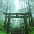 日本奇幻絕景《上色見熊野座神社》宛如通往異世界的入口一般...