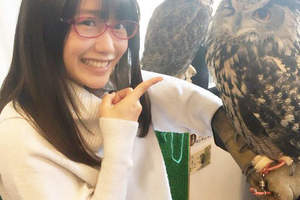 《十大動物咖啡廳》日本年輕人最想去被療癒一下的地方