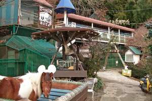 年賠500萬《全日本最荒涼的動物園》動物都是收養來的，員工也是