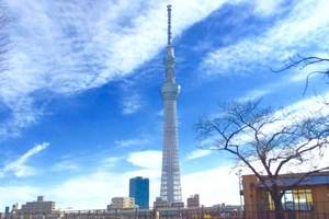 你去過了幾個呢《外國人到訪東京觀光排行榜》還有推薦體驗類別的排行呦