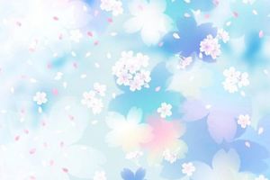 日本12月櫻花已開？去鎌倉市賞河津櫻交通攻略