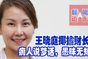 王晓庭揶揄财长！痴人说梦话，愚昧无知。
