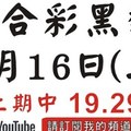 [上期19.29六合黑貓]1月16號六合彩版路號碼預測(2版) 2中1+獨支 #香港六合彩版路