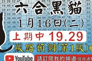 [上期中 19 29]六合彩黑貓(1月16號)六合彩預測版路(第1版)(六合黑貓) 影片版